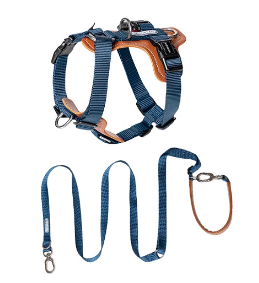 Multifunctional Explosion Proof Pet Chest Strap Leash For Control