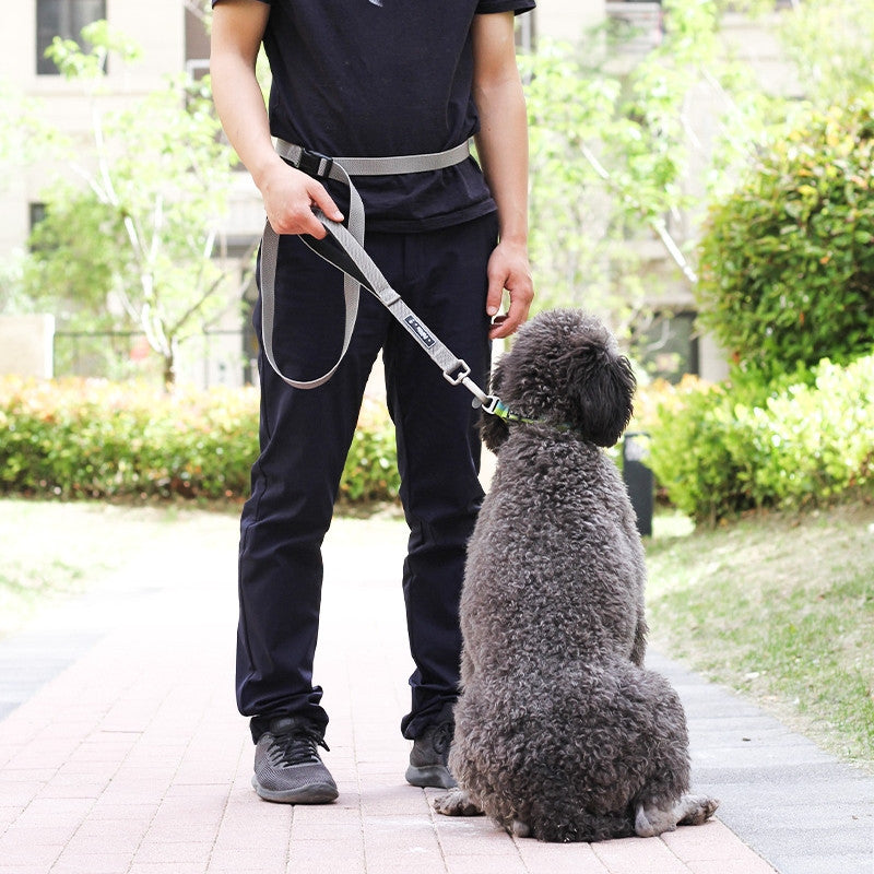 Multi Functional Pet Running Traction Leash For Control