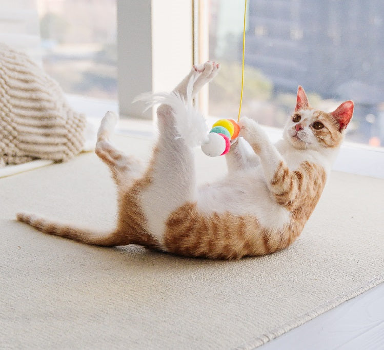 Telescopic Hanging Interactive Pet Toy With Rope Mouse