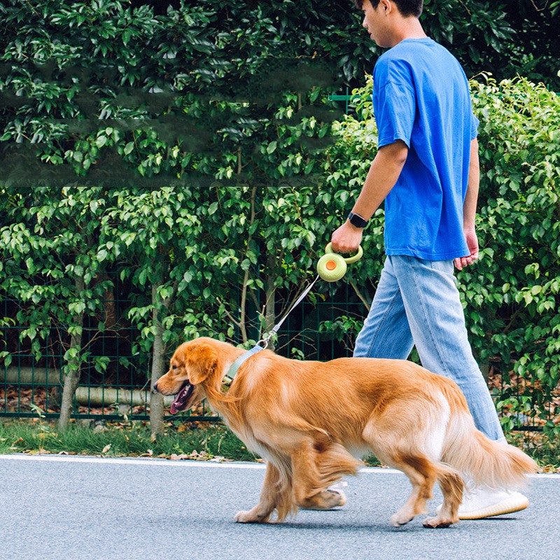 Retractable Reflective Pet Rope Leash For Walking Control