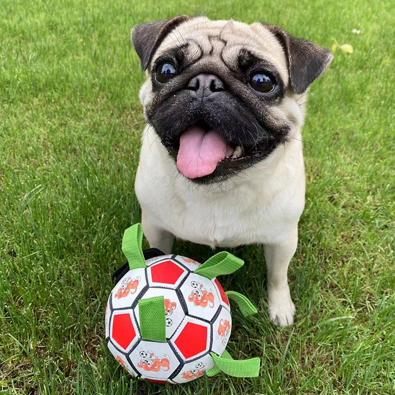 Durable Pet Football Chew Toy For Dental Molar Training