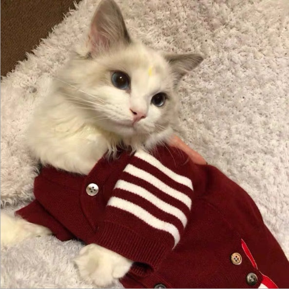Comfortable Pet Clothing For Small Pets
