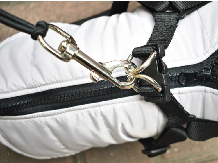 Bicycle Elastic Traction Rope Pet Leash