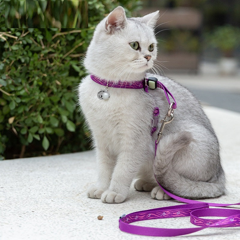 Pet Chest Harness Bell Vest Leash For Small Pets