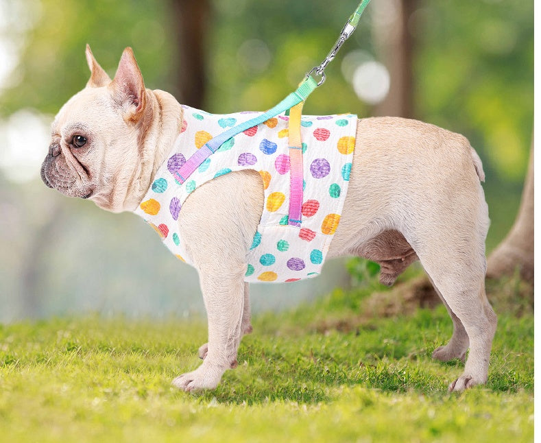 Chest Harness Pet Leash For Small And Medium Pets