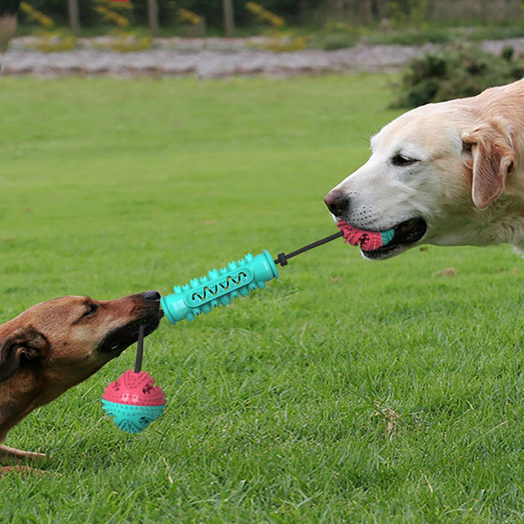 Durable Chew Teeth Cleaning Pet Toy Stick