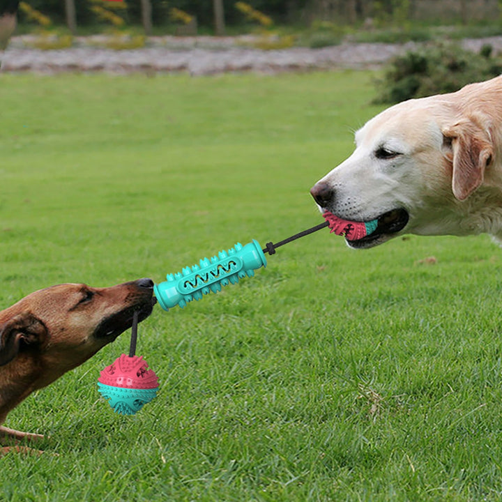 Durable Chew Teeth Cleaning Pet Toy Stick