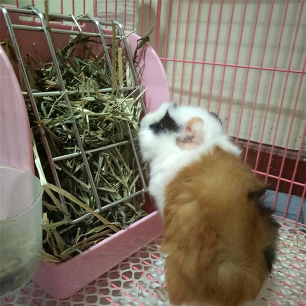 Rabbit Hay Grass Feeder Rack