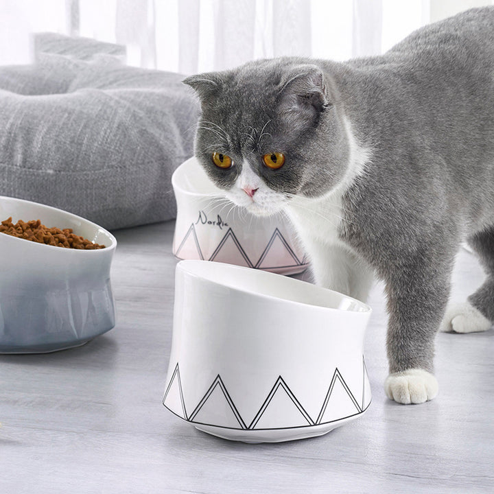 Ceramic Pet Feeding Bowl For Small Pets