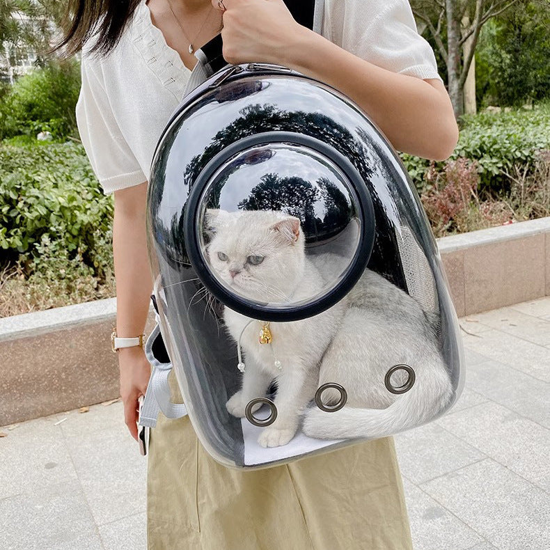 Transparent Breathable Large Capacity Pet Backpack Carrier Bag