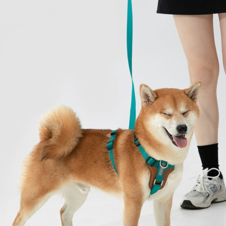 Multifunctional Explosion Proof Pet Chest Strap Leash For Control
