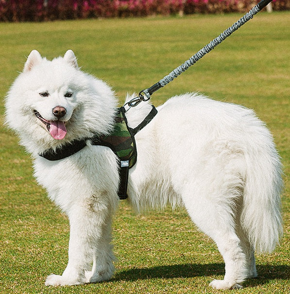 Chest Harness Pet Leash Walking Lead