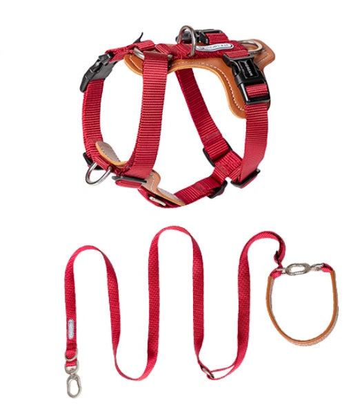 Multifunctional Explosion Proof Pet Chest Strap Leash For Control