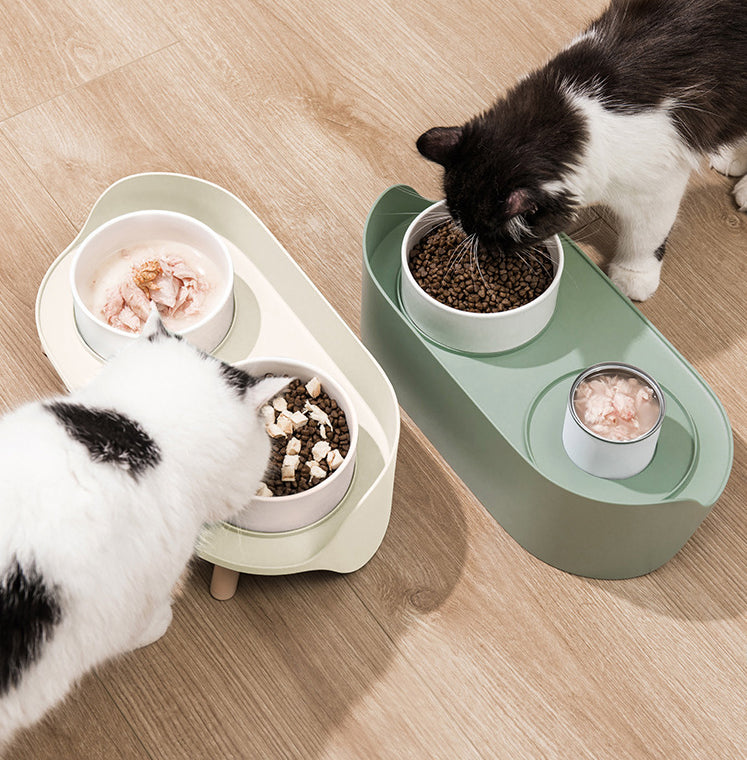 Adjustable Tilt Double Bowl Pet Feeder Spill Proof Stand