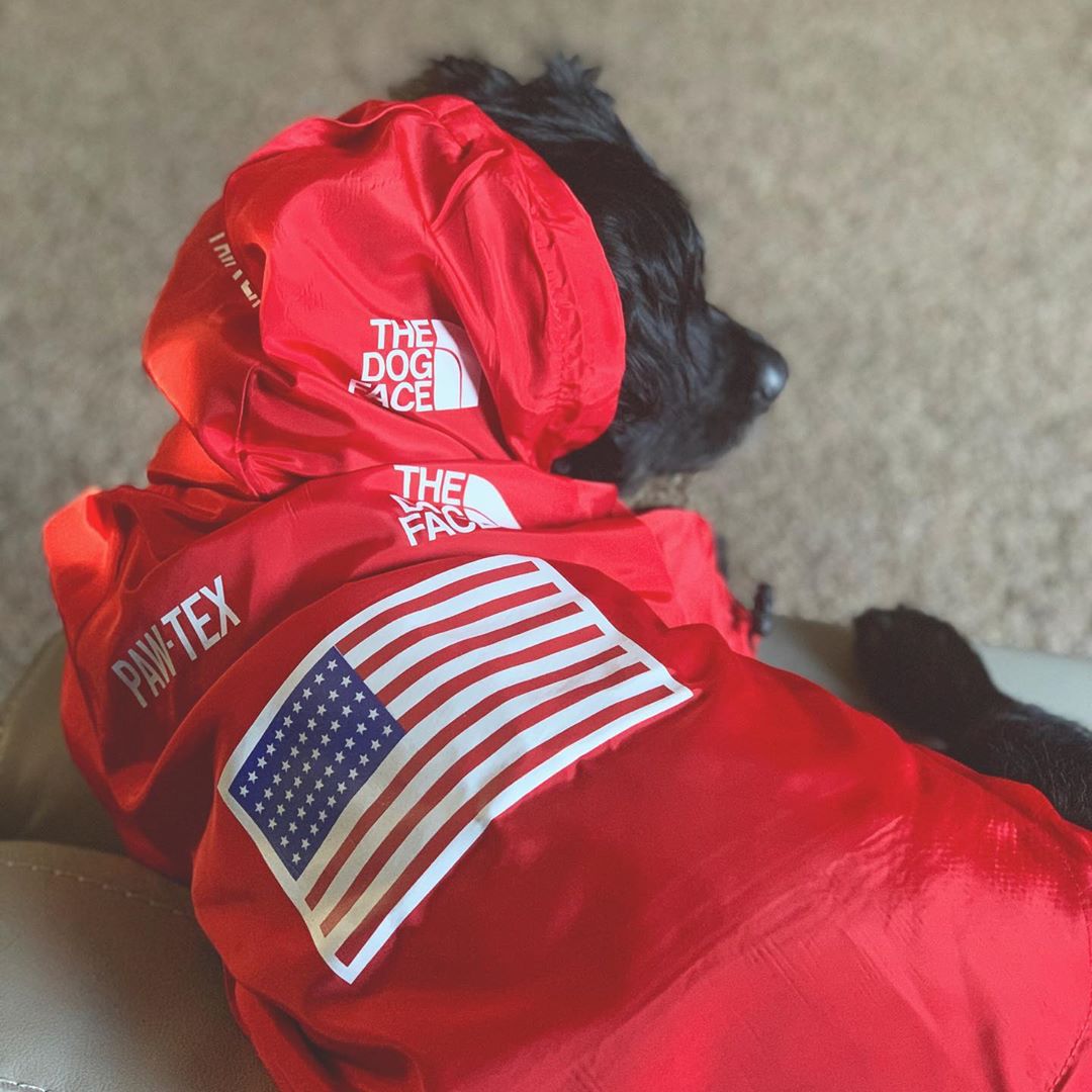 Windproof Waterproof Large Dog Raincoat