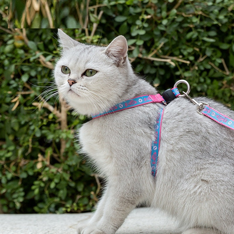 Pet Chest Harness Bell Vest Leash For Small Pets