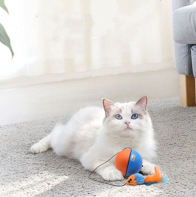 Automatic Intelligent Grinding Teeth Interactive Pet Ball Toy