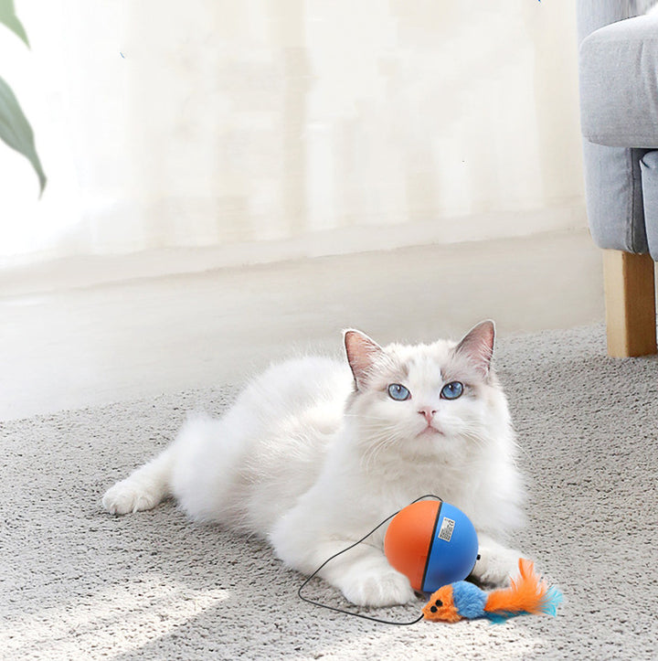 Automatic Intelligent Grinding Teeth Interactive Pet Ball Toy