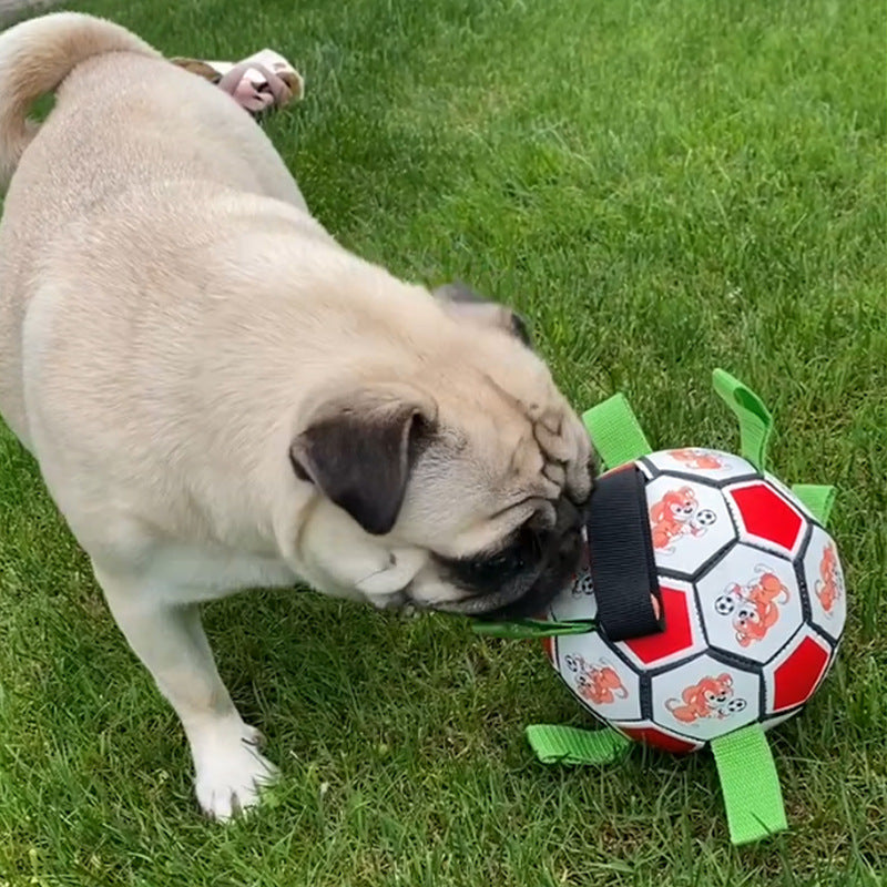 Durable Pet Football Chew Toy For Dental Molar Training