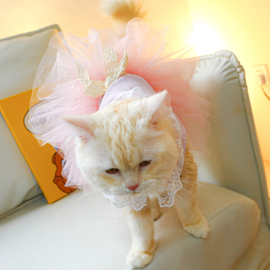 Lace Style Pet Clothing For Small Pets