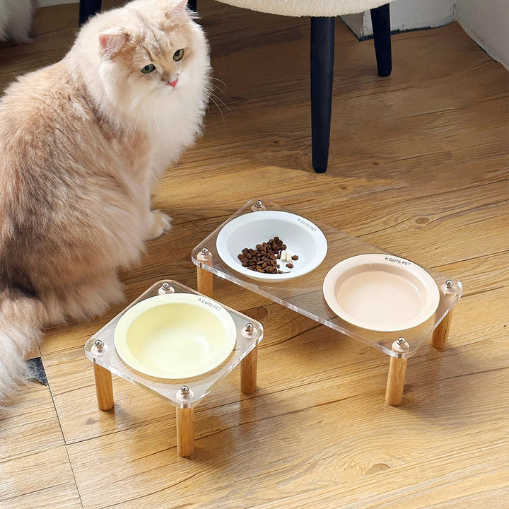 Anti Tumble Elevated Ceramic Double Pet Feeding Bowl