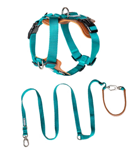 Multifunctional Explosion Proof Pet Chest Strap Leash For Control