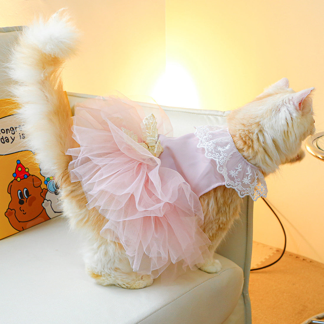 Lace Style Pet Clothing For Small Pets