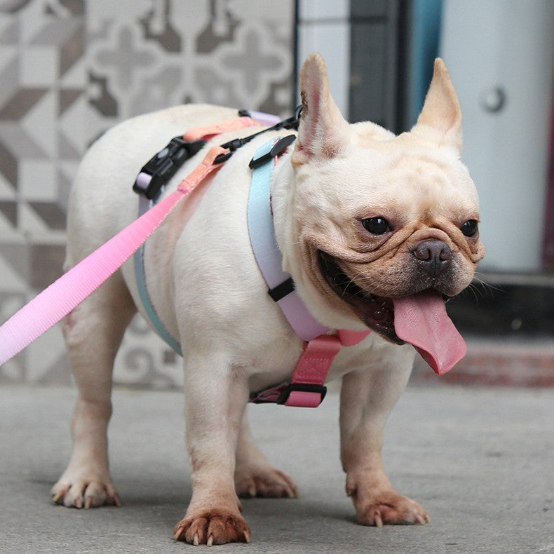 Gradient Color Pet Chest Strap Harness For Control