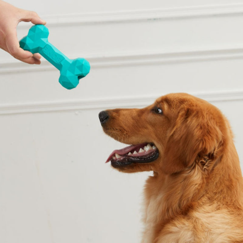 Bite Resistant Rubber Bone Pet Toy For Teeth Grinding