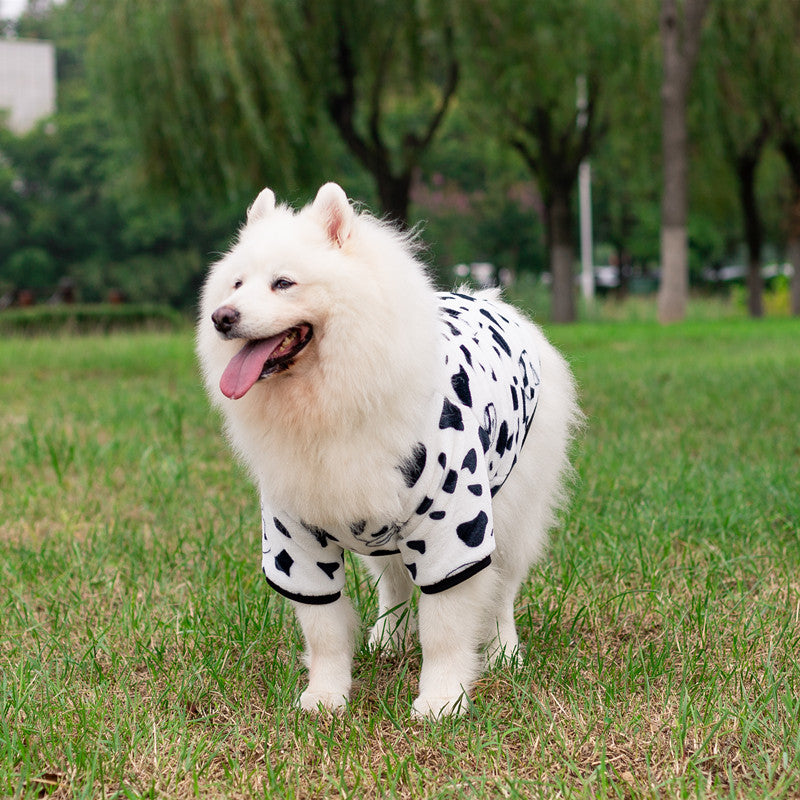 Fashion Pet Transformation Costume Outfit