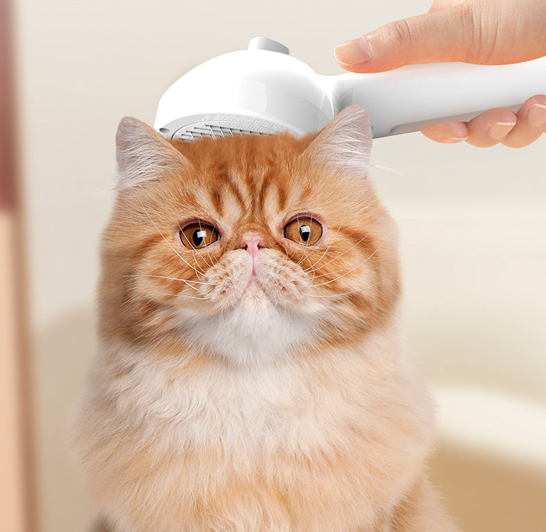 Pet Self Cleaning Grooming Hair Removal Comb With Mist Humidifier Tool