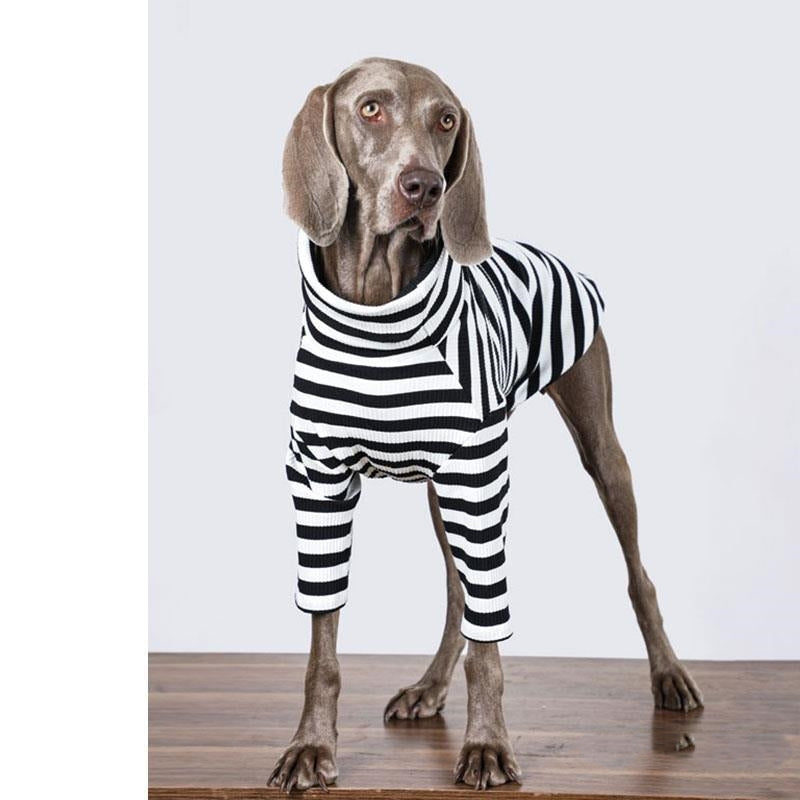 Dog Clothes Large Dog Thin Inner Match