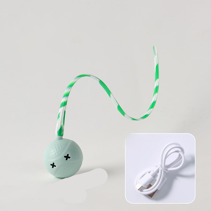 Interactive Electric Motion Activated Pet Ball Toy