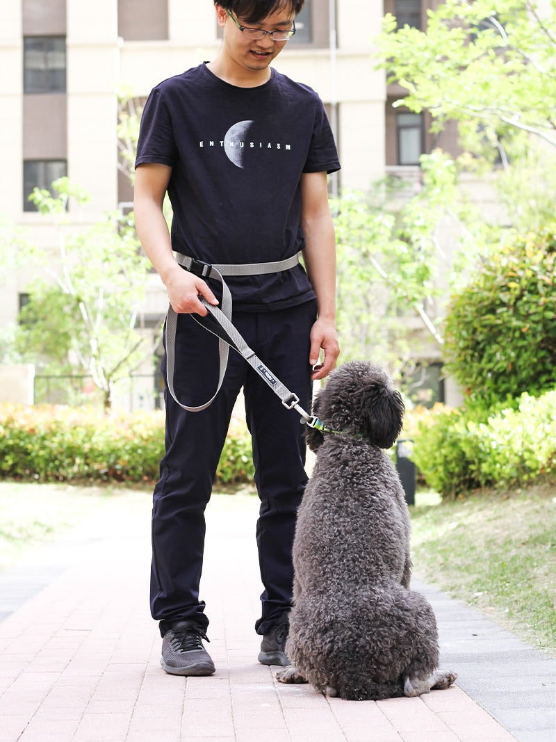 1.8m Multifunctional Pet Running Leash Durable Traction Lead