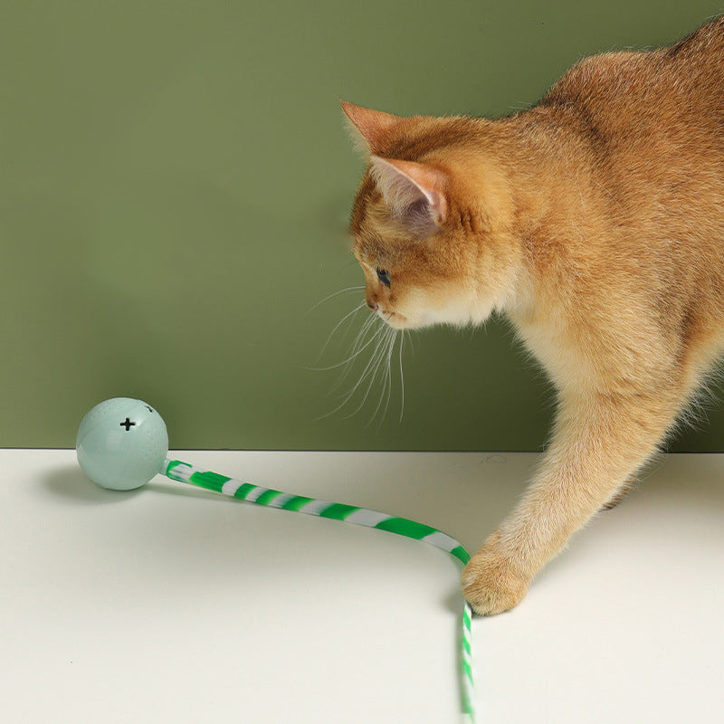 Interactive Electric Motion Activated Pet Ball Toy