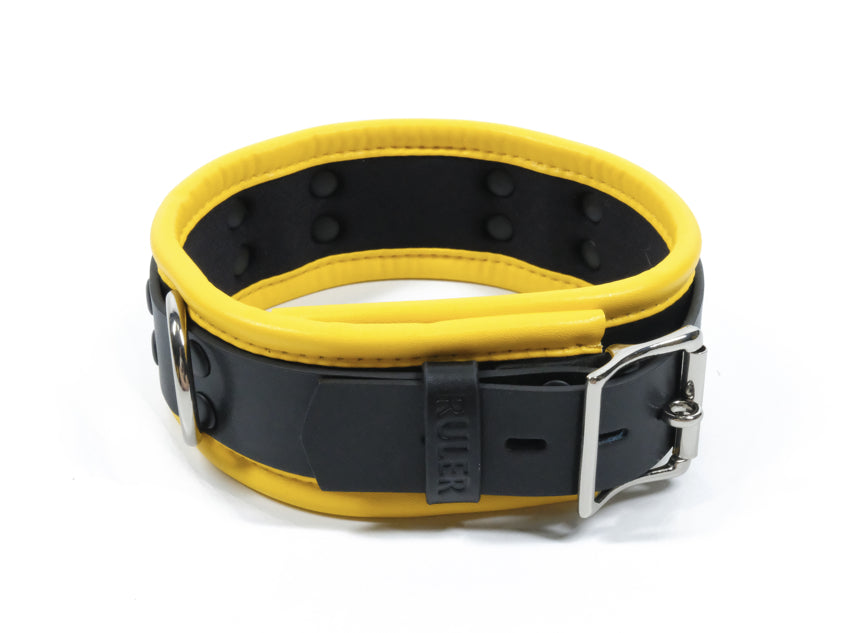 Role Playing Collar Costume Prop