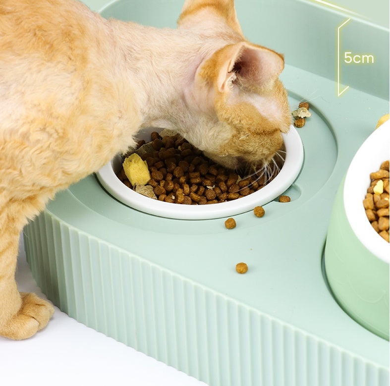 Ceramic Elevated Pet Food Bowl For Cervical Support