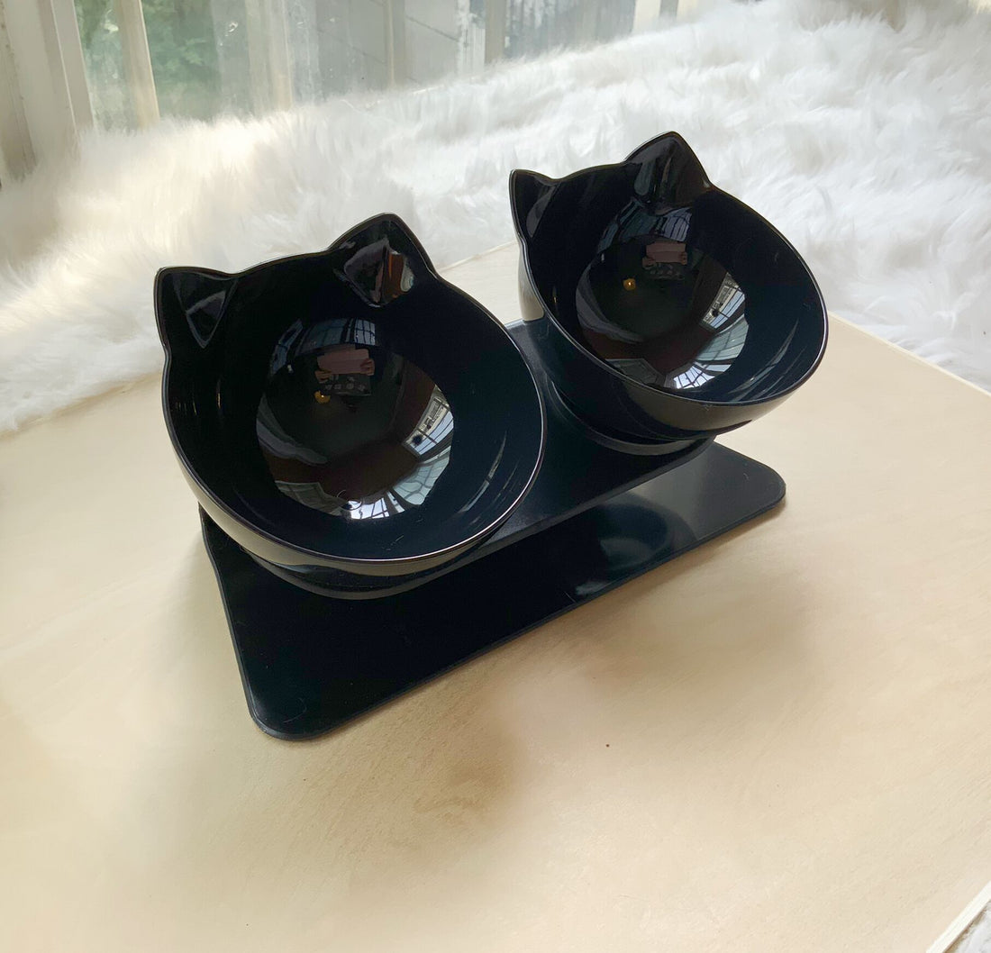 Non Slip Double Raised Pet Feeding Bowl Stand
