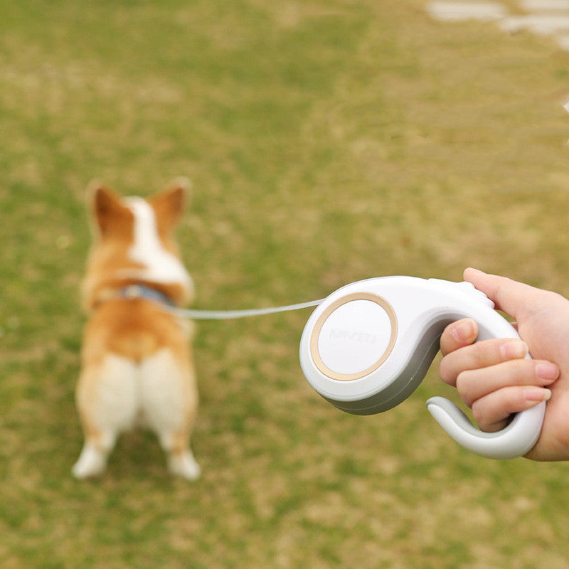 Automatic Retractable Pet Leash For Walking Training Control