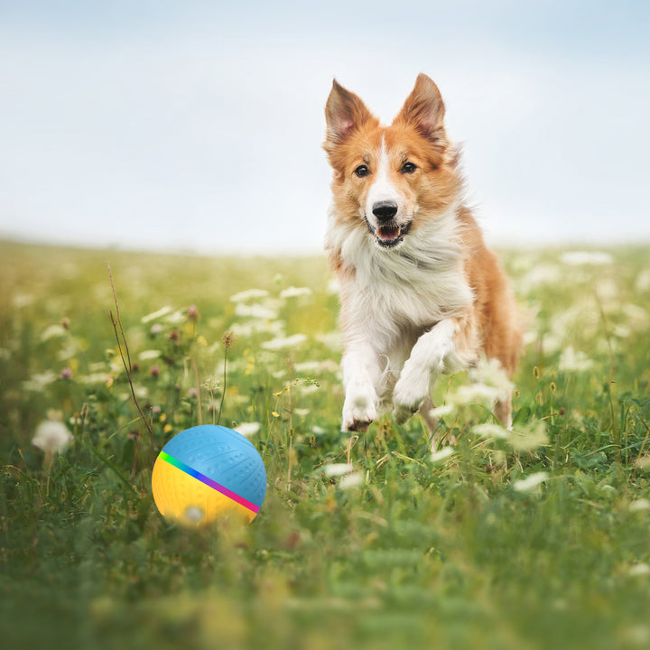 Remote Control Bite Resistant Interactive Intelligent Pet Ball Toy