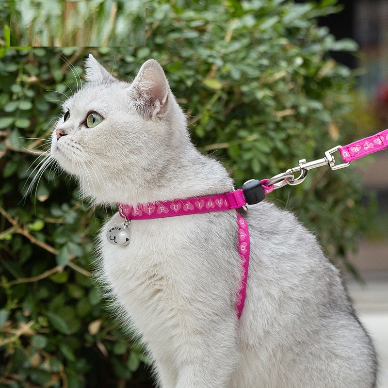 Pet Chest Harness Bell Vest Leash For Small Pets