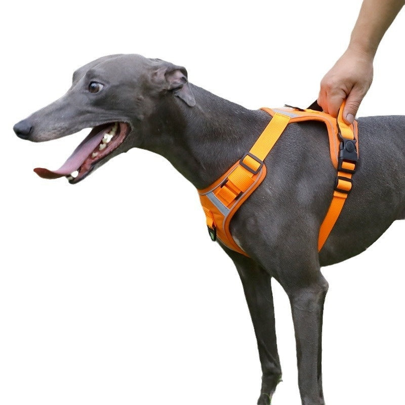 Large Dog Chest Harness Leash Portable