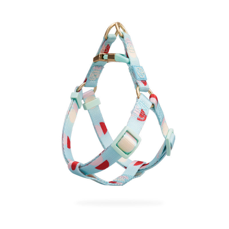 Fashion Y Shaped Pet Chest Strap Leash Harness Control