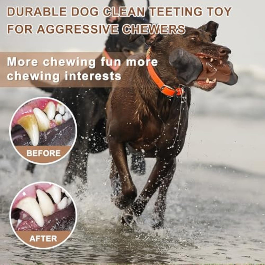 Durable Tough Pet Chew Toy For Aggressive Chewers