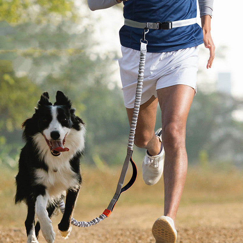 Pet Outdoor Running Leash Durable Walking Lead